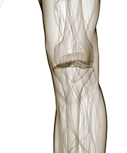 무릎연골손상